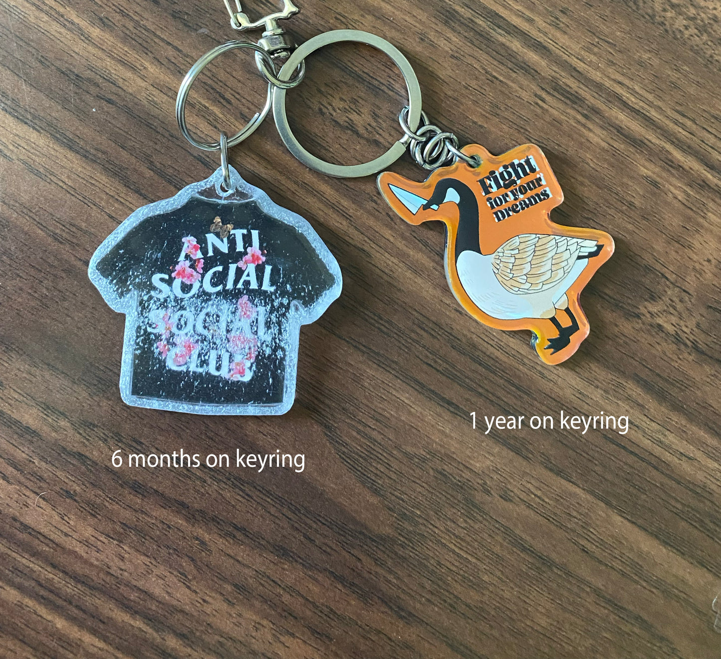 Dream Goose "Fight for Your Dreams" Keychain