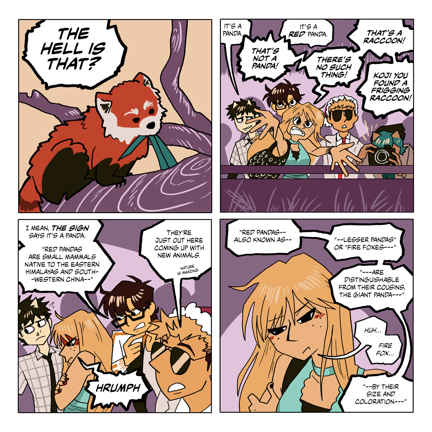 Advent Calendar Hardcover Edition